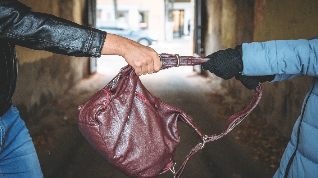 Person stealing woman's purse