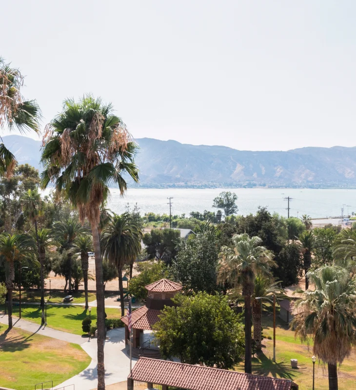 a view of a beach and palm trees