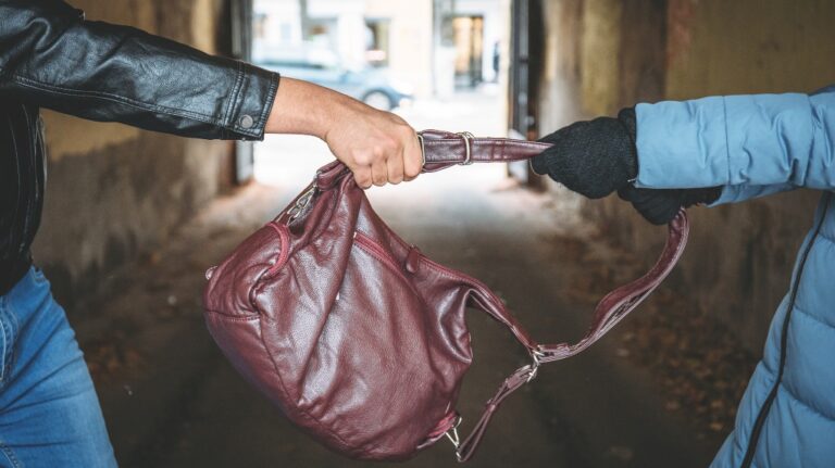 Robber snatches bag from hands of woman