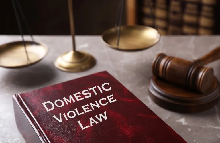 Close-up of a red book titled "Domestic Violence Law" with a wooden gavel and brass scales of justice.